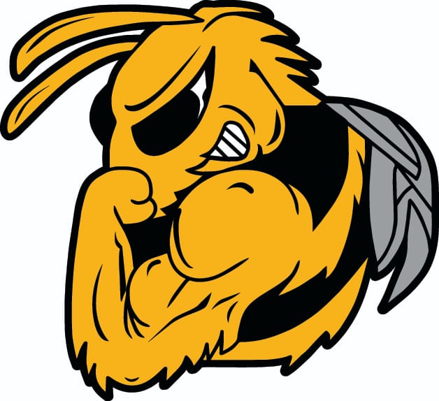 Quinn Bee Services